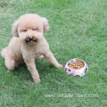 Pink Pet Non-slip Raised Steel Melamine Dog Bowl